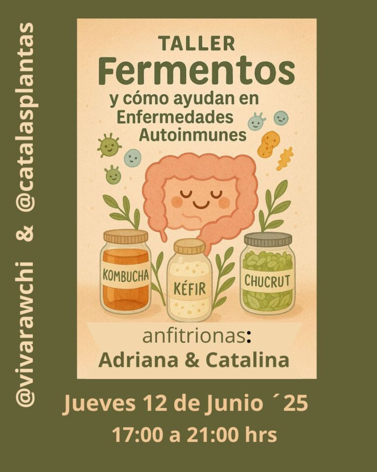taller de fermentos
