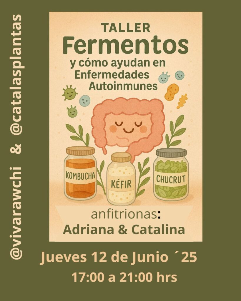 taller de fermentos